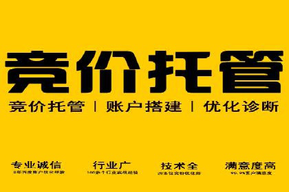 搜索引擎营销（SEM）在旅游行业的成功案例